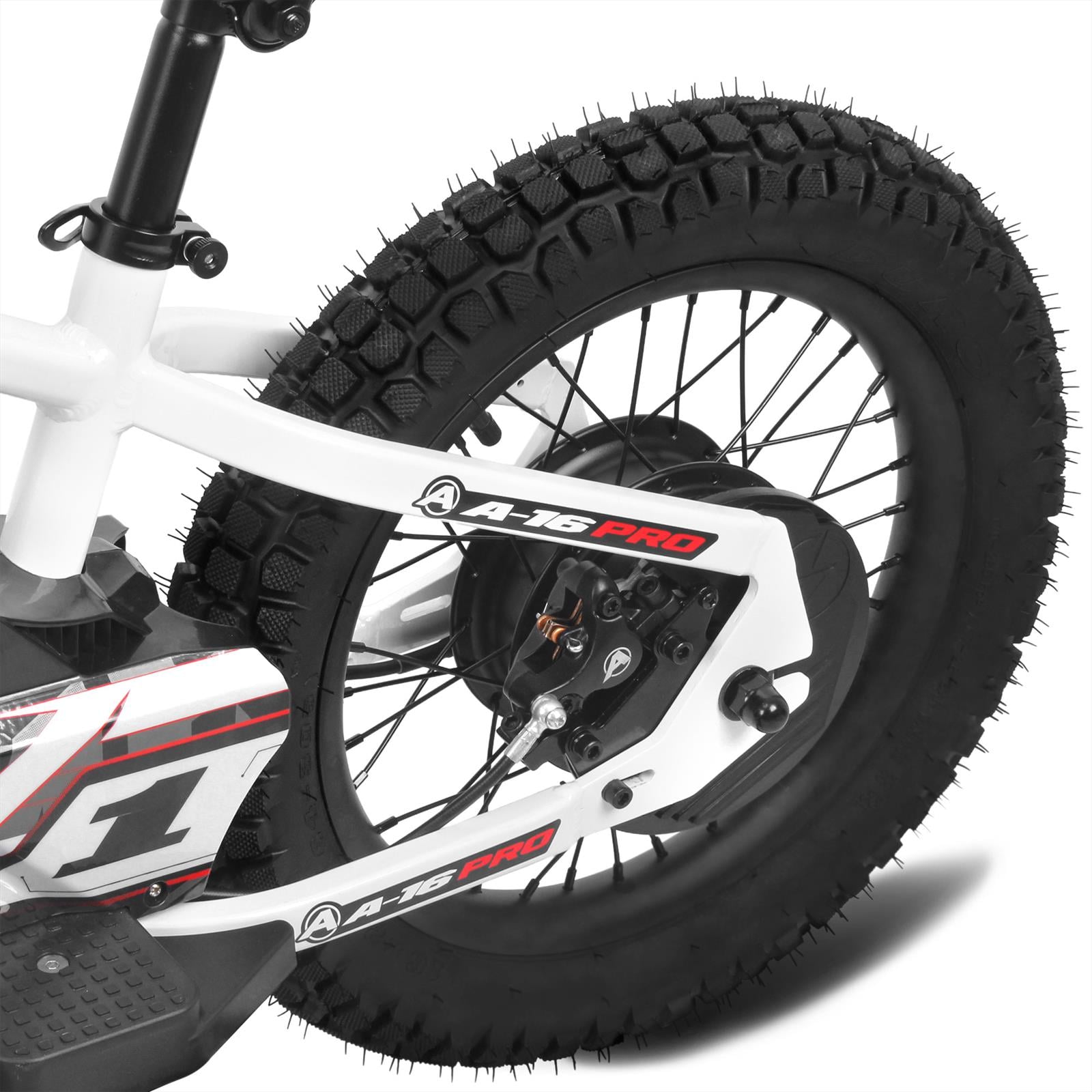 Integrated Rear Hub Motor