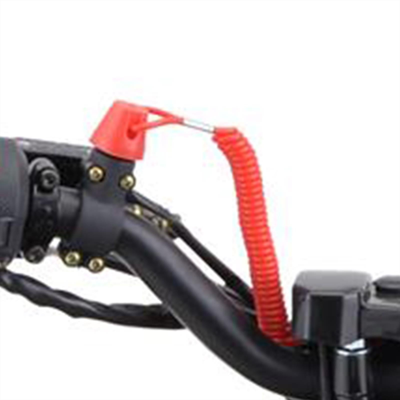 Safety Lanyard