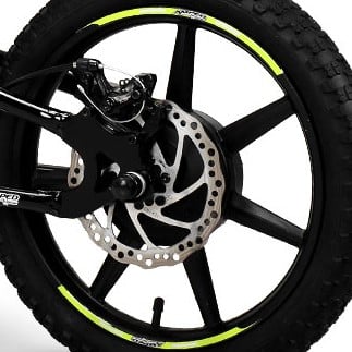 Rear Disc Brake