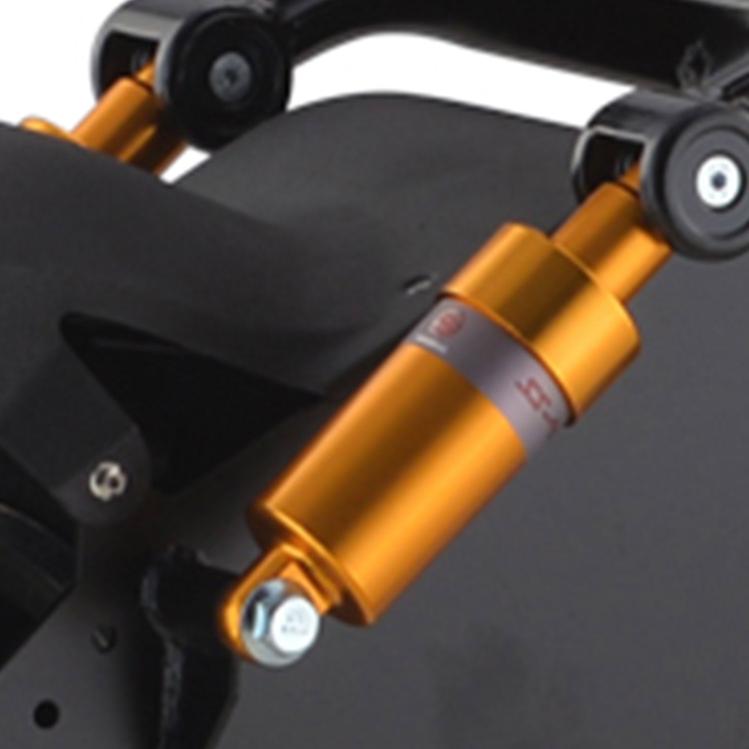 Twin Rear Shock Suspension