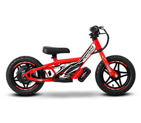 ELECTRIC BIKES