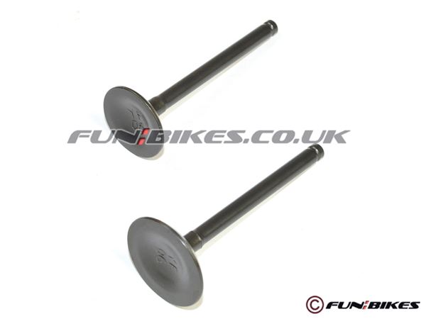 Pit Bike Valves Engine Valves YX150 YX160