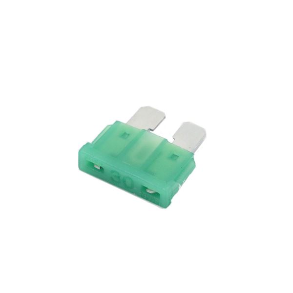 FunBikes Excite 1000w Mini Quad 30A Fuse