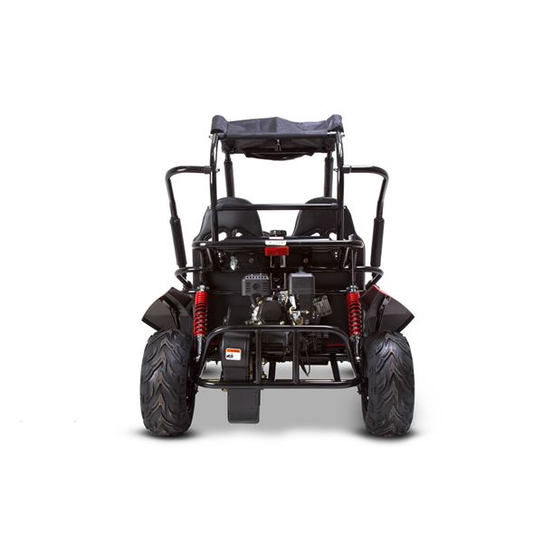 gt80 200cc off road buggy