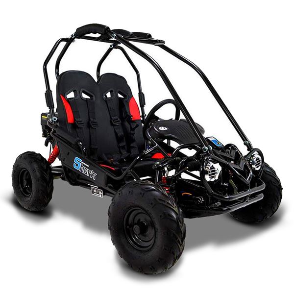 funbikes buggy