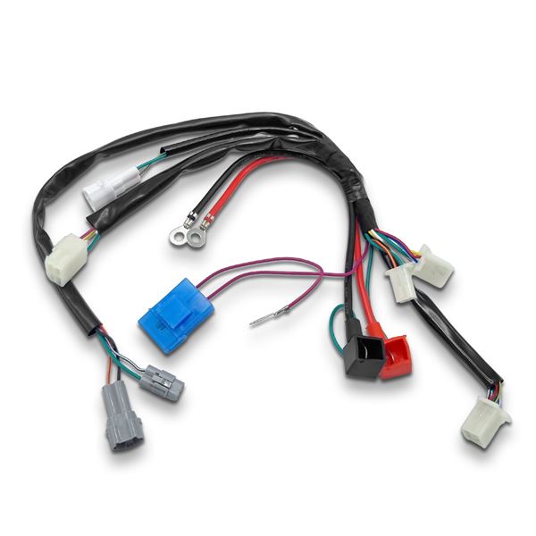 M2R RS-R 60cc Wiring Loom