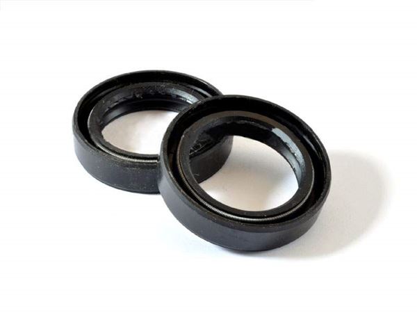 Pit Bike Fork Seals