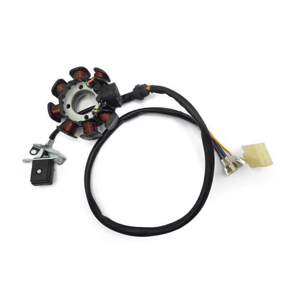 M2R M1 250cc Dirt Bike Stator Plate