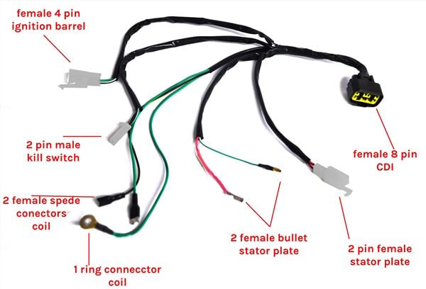 Pit Bike Wiring Loom Zongshen 155