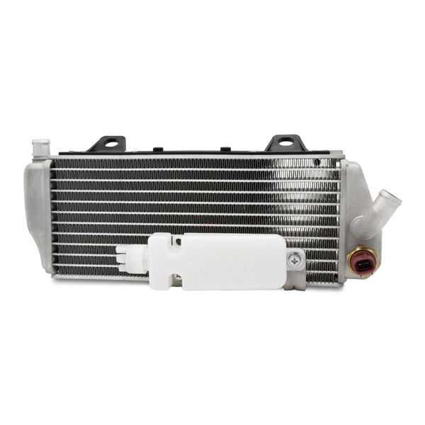 M2R RS-R 300 279cc Left Radiator