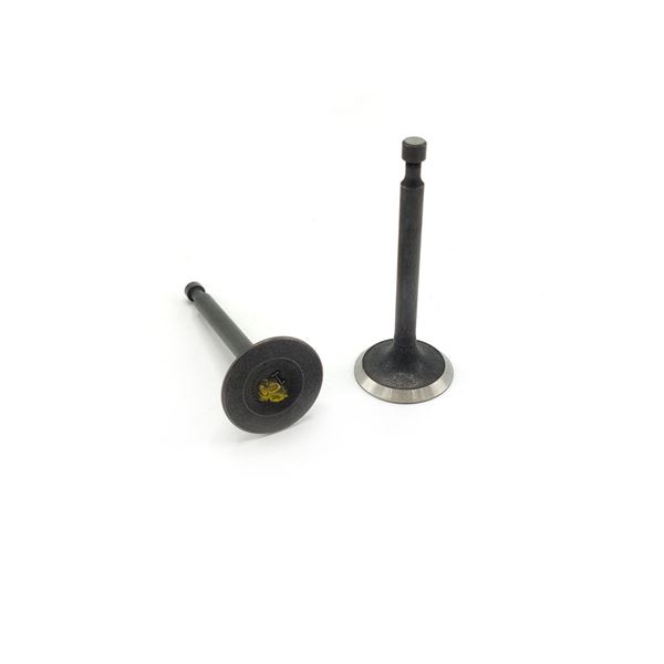 Go Kart, Buggy 156cc 196cc Valve Set
