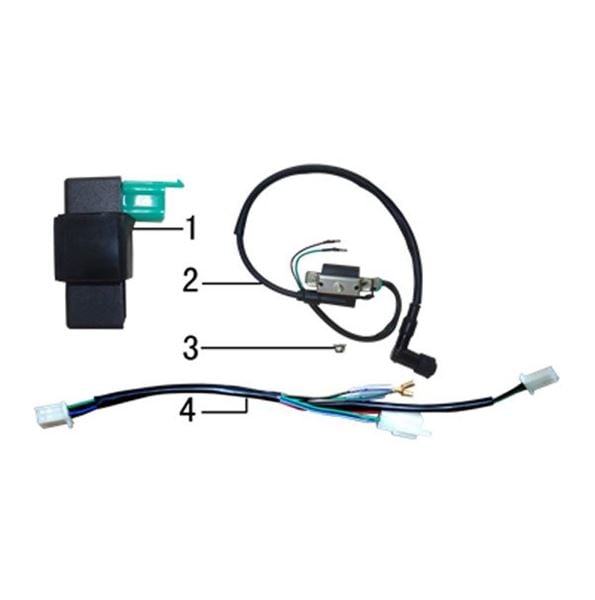 M2R KXF110F Pit Bike Wiring Loom