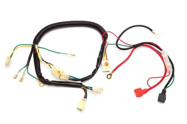 M2R 50R Wiring Loom