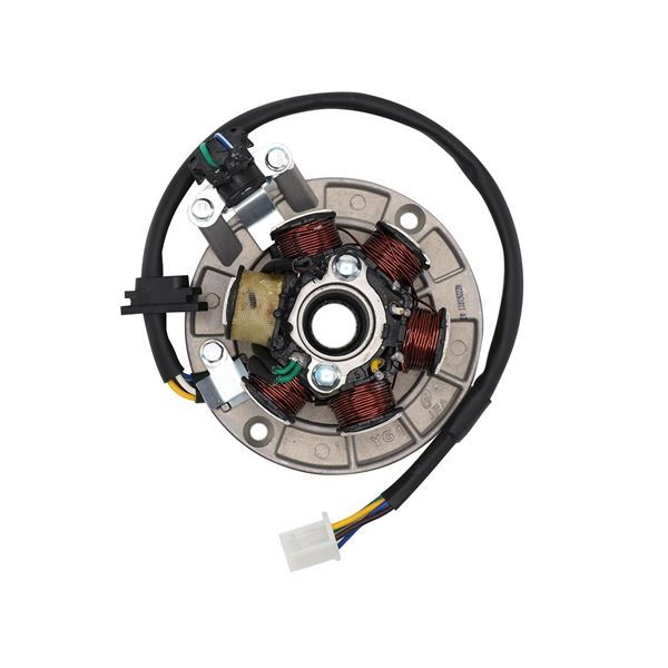 M2R KXF125 Pit Bike Stator Plate