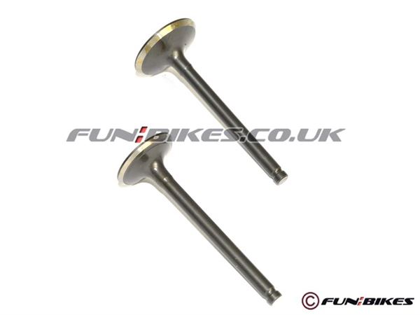 Pit Bike Valves Engine Valves YX150 YX160
