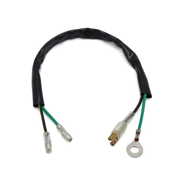 M2R KMX-R 140 Pit Bike Coil Wiring Loom Connector