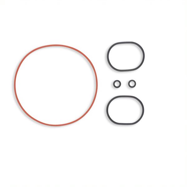 m2r-kmx-r-160-pit-bike-engine-oil-seal-set