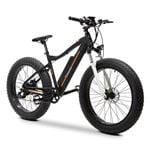 Electric Bikes