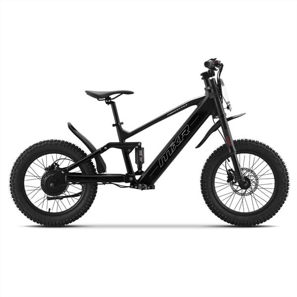 FunBikes MXR Freestyle 18" 350w 36v Li 18/18 Blue Electric MX Bike