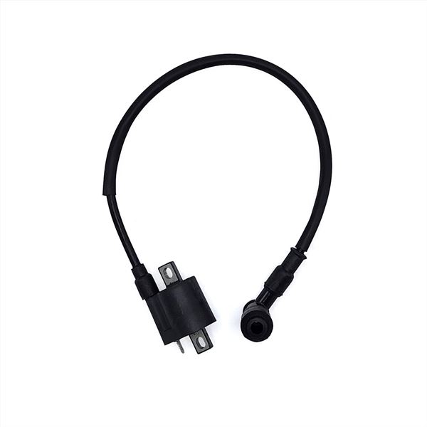 Pentora 125cc Quad Bike Ignition Coil