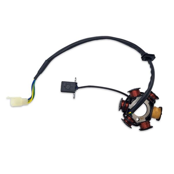 M2R RS-R 140cc Dirt Bike Stator