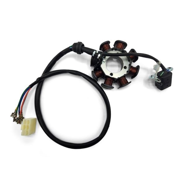 10Ten 250RX Dirt Bike Stator Plate