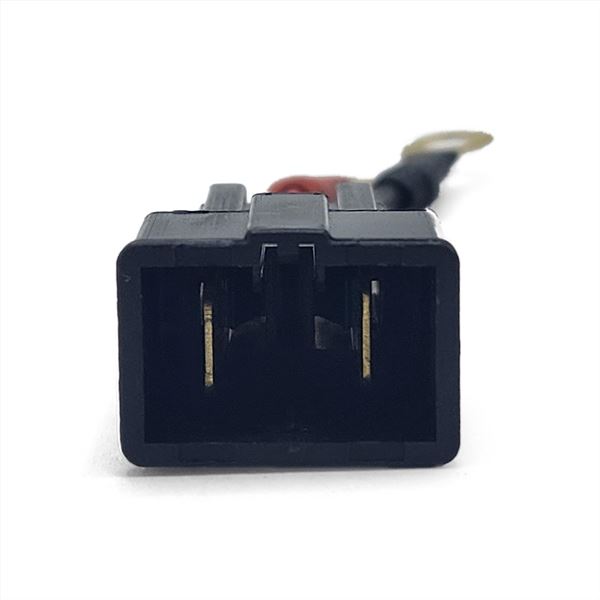 FunBikes Excite 1000w Mini Quad Motor Extended Wiring EQ1