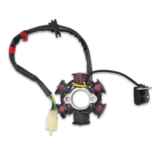 M2R RS-R 125cc Dirt Bike Stator