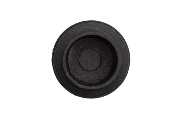M2R 50R Frame Rubber Bung