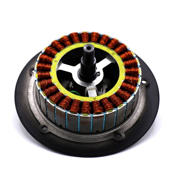 Gotrax XR Ultra Electric Scooter Motor Coil