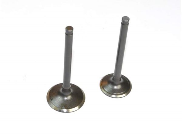 Pit Bike Valves YX140 Engine Valves 