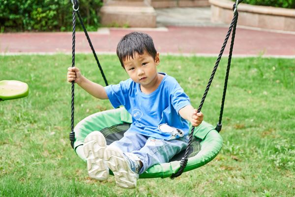 Single Canvas Swing: Durable Galvanized Frame with 600D Oxford Cloth Seat