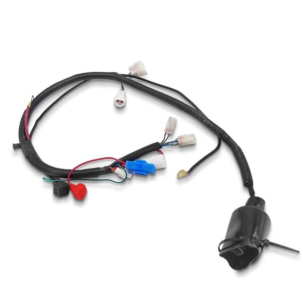 M2R RS-R 250cc Dirt Bike Wiring Harness / Loom