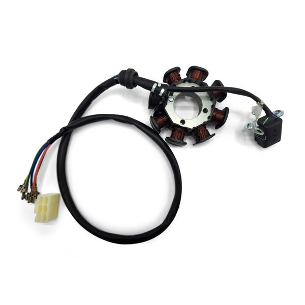 M2R M1 250cc Dirt Bike Stator Plate
