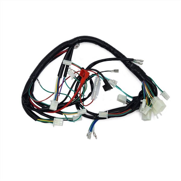 FunBikes Xtrax 125cc Quad Bike Wiring Loom