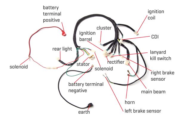 EGL 110 Quad Bike Wiring Loom