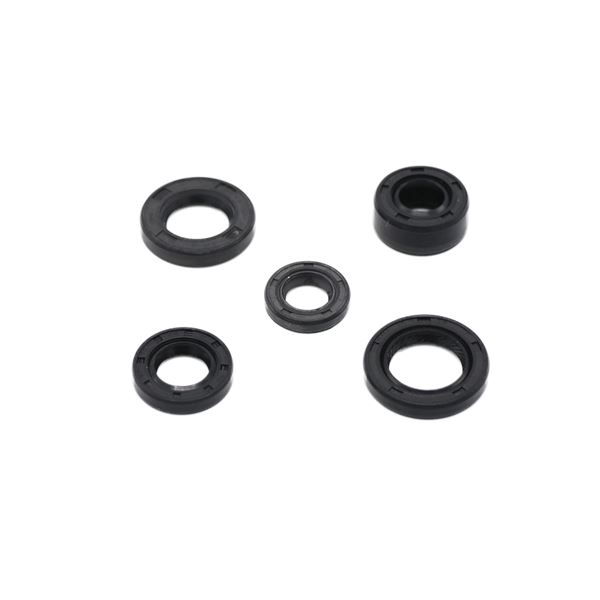 M2R KX110F Pit Bike Engine Oil Seal Set