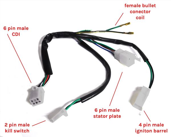 Pit Bike Wiring Loom Type 5