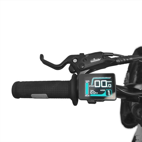 Amped A24 Comp 1500w 48v 10ah Li 24/24 Silver MX Electric Balance Bike