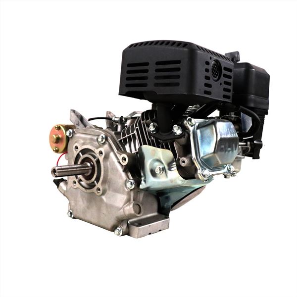 FunBikes Shark Complete Engine